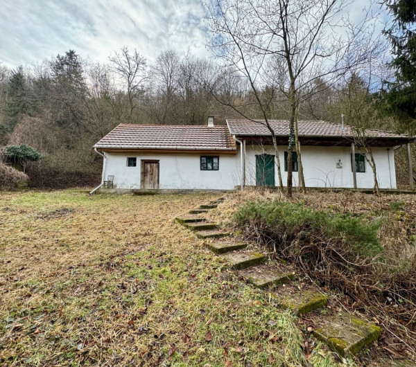 MAĎARSKO - TELKIBÁNYA PEKNÝ RODINNÝ DOM S KOMOROU LEN 30 KM OD KOŠÍC.